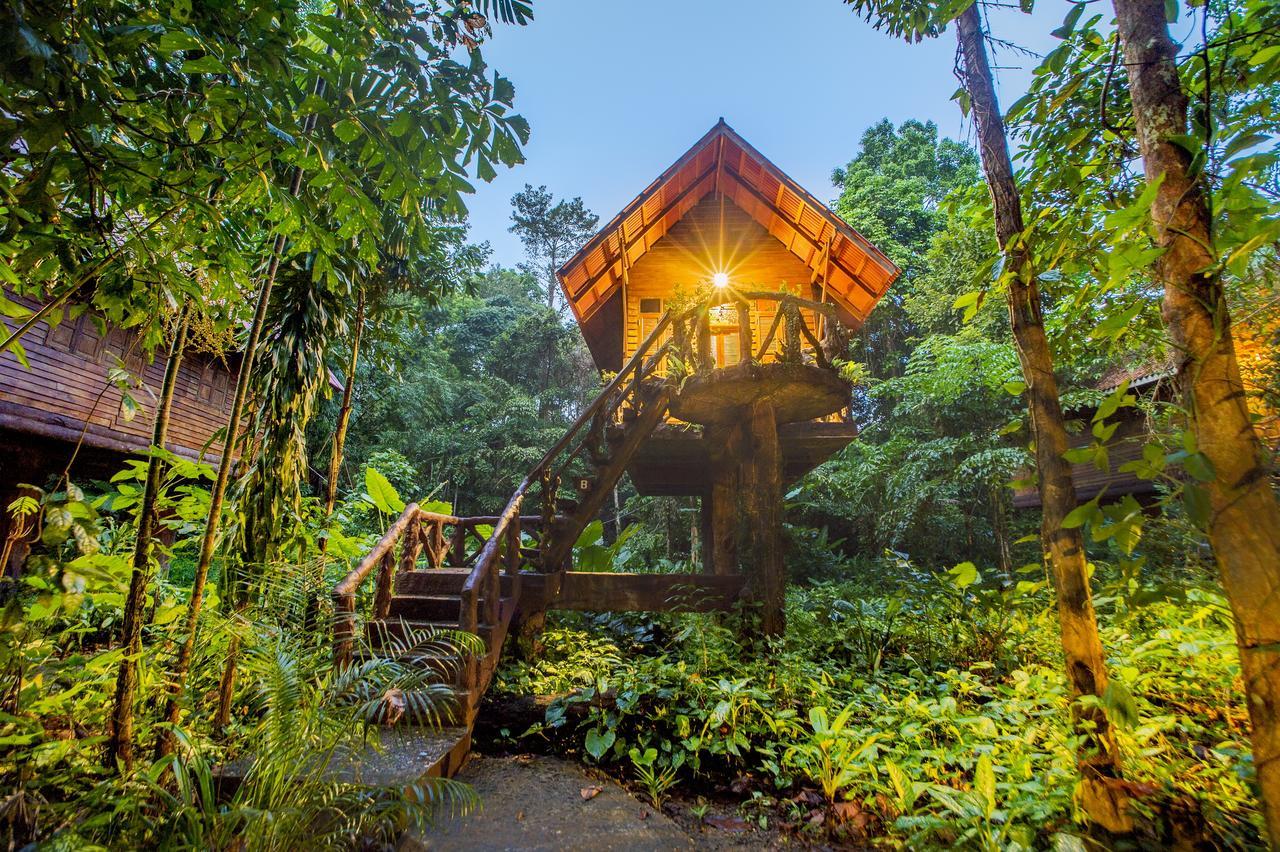 Art'S Riverview Lodge Khao Sok National Park Ngoại thất bức ảnh