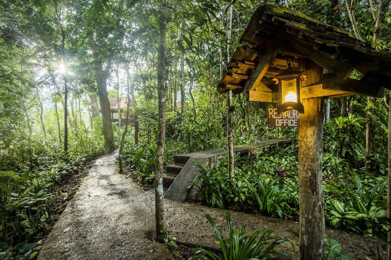 Art'S Riverview Lodge Khao Sok National Park Ngoại thất bức ảnh