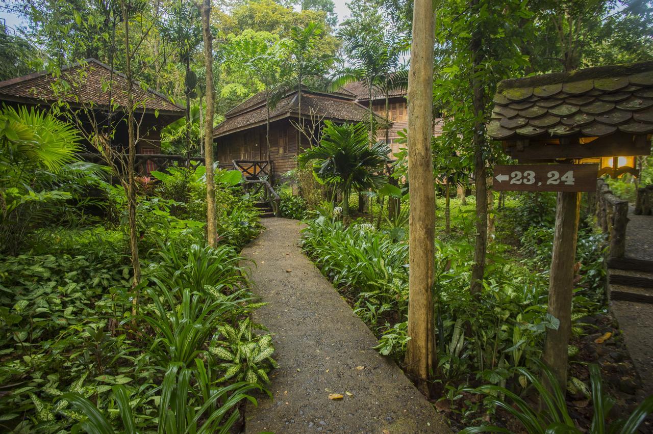 Art'S Riverview Lodge Khao Sok National Park Ngoại thất bức ảnh