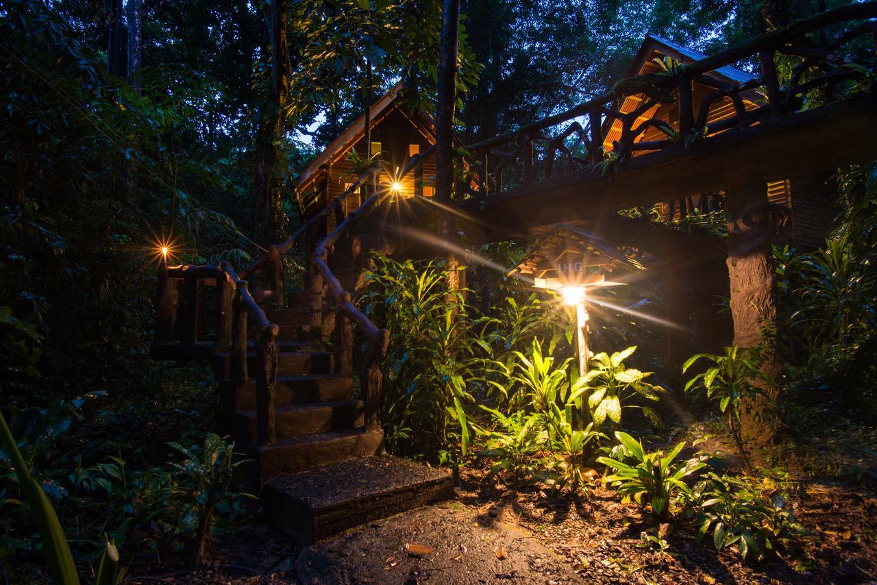 Art'S Riverview Lodge Khao Sok National Park Ngoại thất bức ảnh